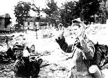 Фашисты сдаются в плен (Минск, июль 1944 г.).
