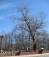 Даже деревья умеют говорить! Трагедия в Минском метро 11 апреля 2011 года. Aliaksandr Astanevich.